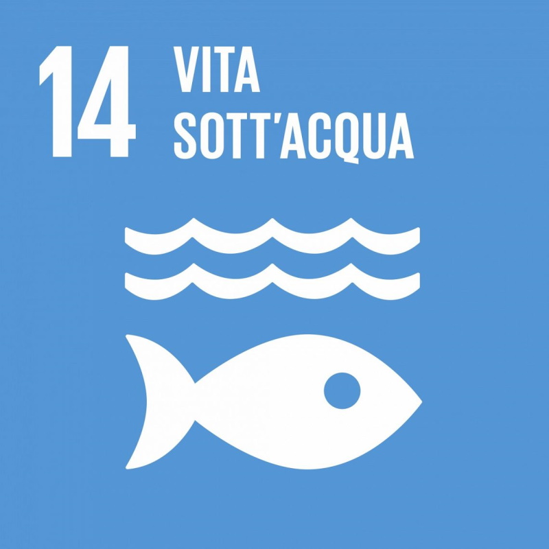 Vita sott'acqua