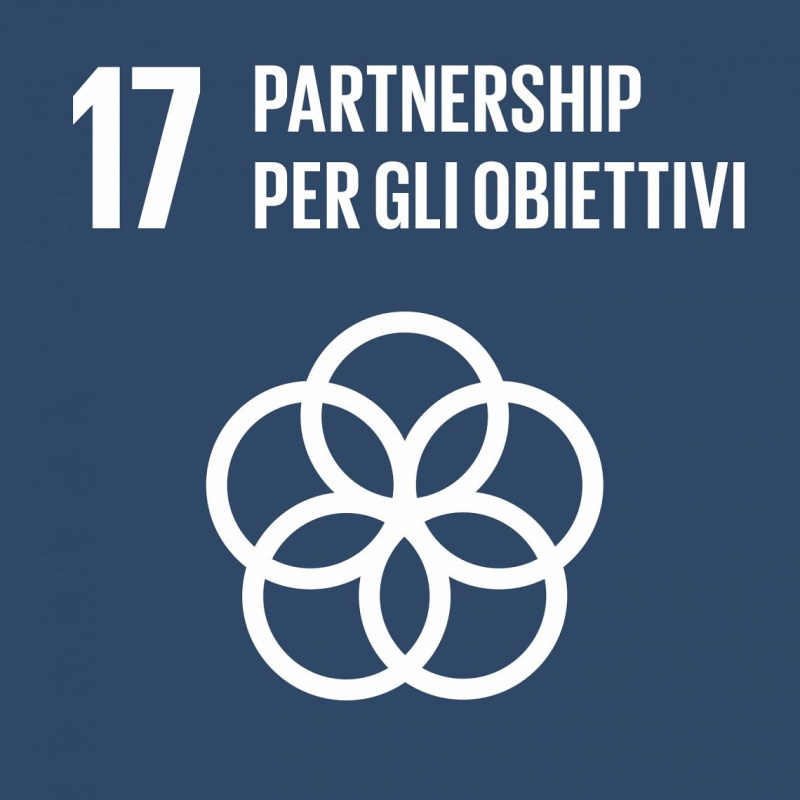 Partnership per gli obiettivi