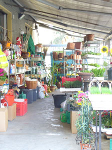 Foto della bottega