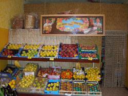 Foto della bottega