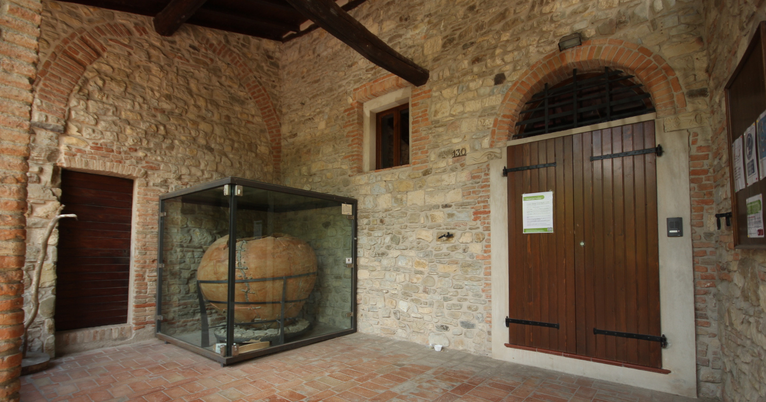 Ecomuseo della Collina e del Vino