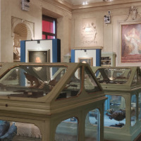 Museo di Palazzo Poggi