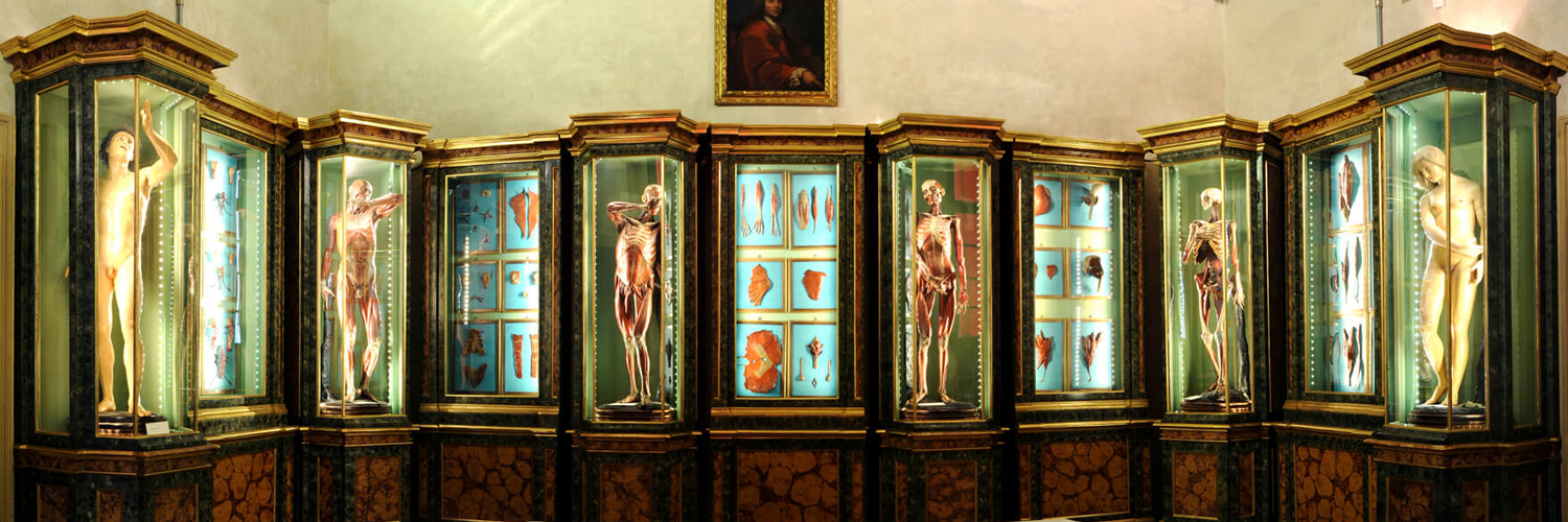 Bologna - Museo di Palazzo Poggi 