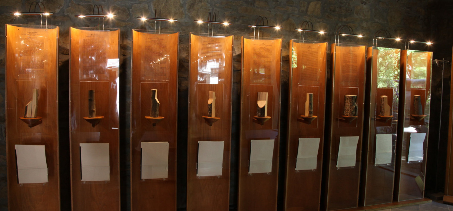 Museo del Legno - Xiloteca e Castagneto Didattico Sperimentale di Granaglione