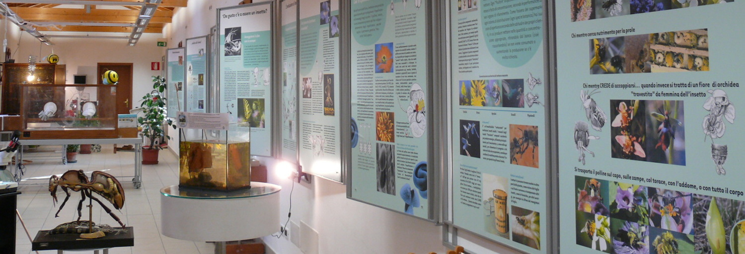 Museo del Cielo e della Terra