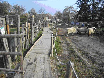 Il percorso permette di entrare in stretto contatto con gli animali dell'azienda senza alcun pericolo per il visitatore