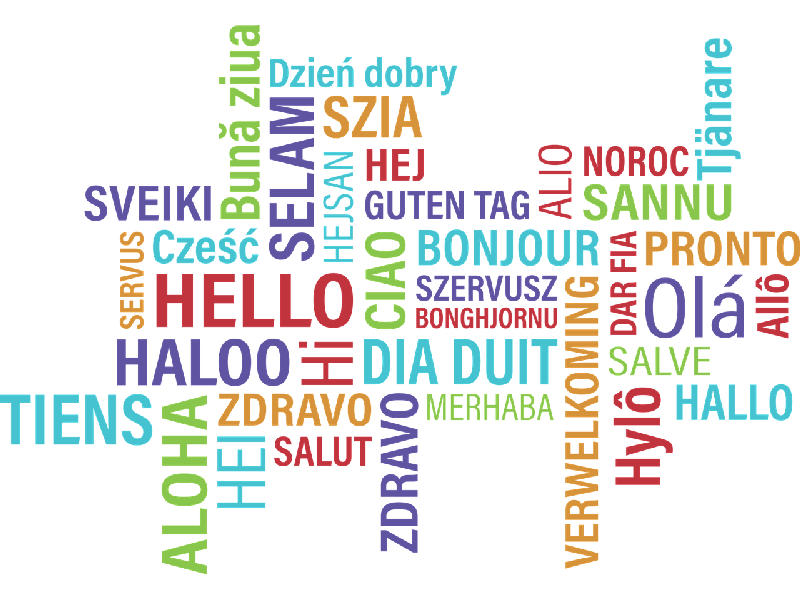 Lingua madre e intercultura