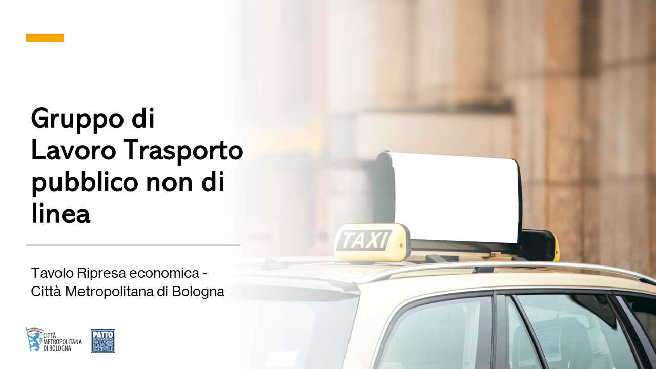 Gruppo di lavoro Trasporto Pubblico non di linea, TAXI, NCC