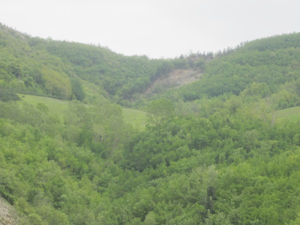 Esito Bando Affitto Terreni ed immobili  Tenuta Sozzurro a Castel del Rio