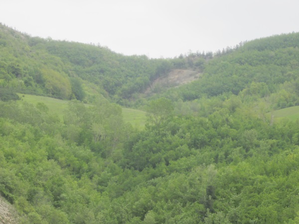 Terreni Podere Sozzurro a Castel del Rio