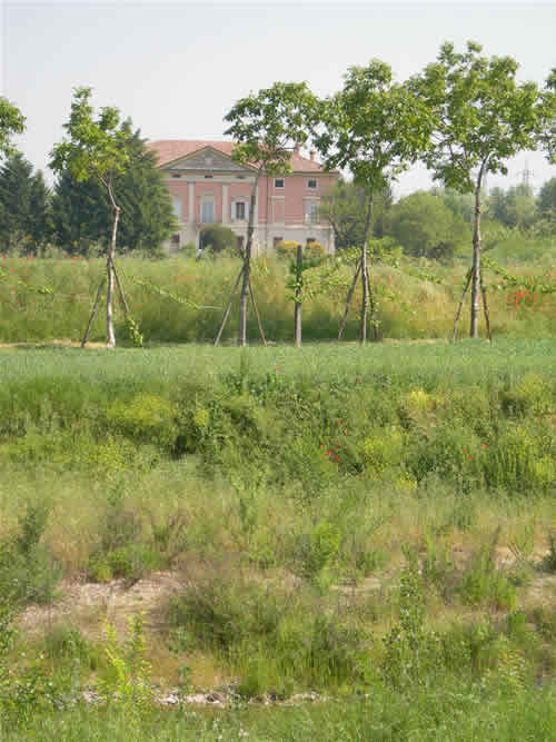 Vista di Palazzo Bentivoglio Pepoli dall'argine del Lavino