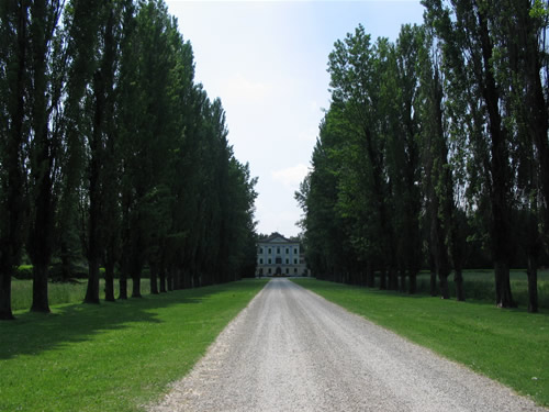 Viale di ingresso villa neoclassica