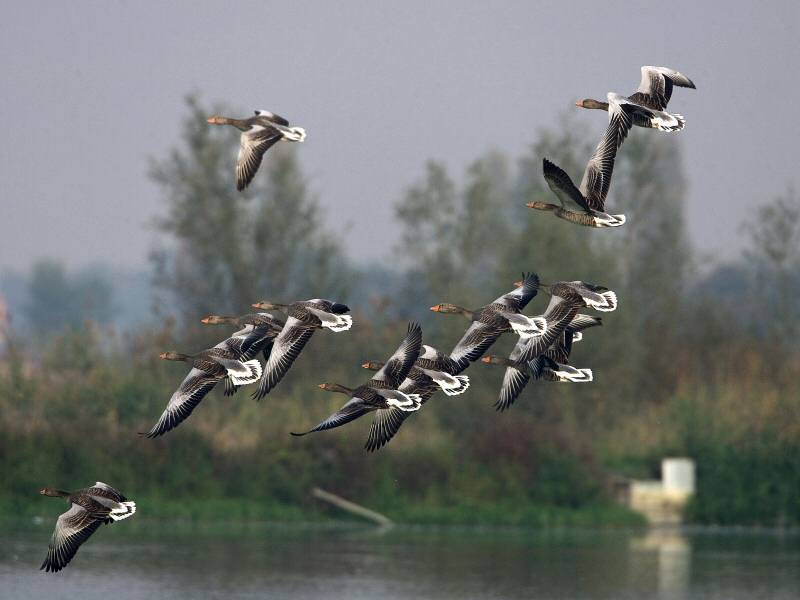 Natura e territorio