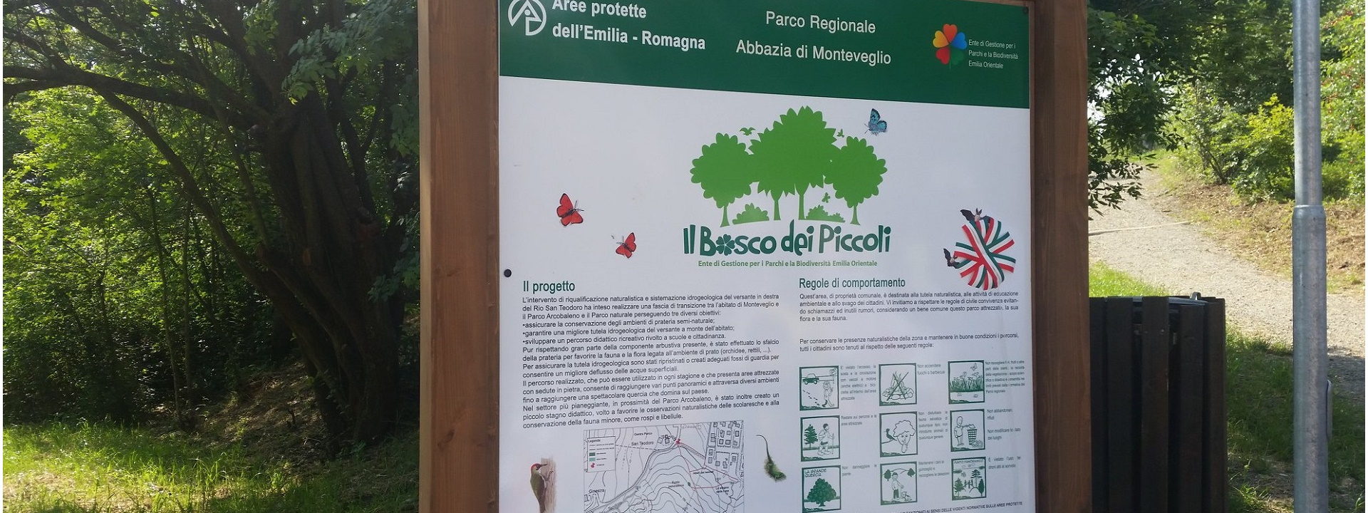 Bosco dei Piccoli