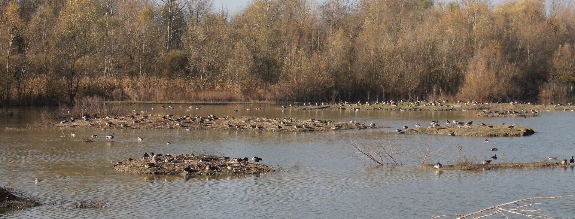 Oasi La Rizza (Bentivoglio)