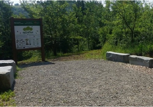 Bosco dei Piccoli
