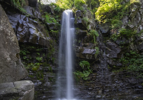 Il sentiero che porta alle cascate del Dardagna