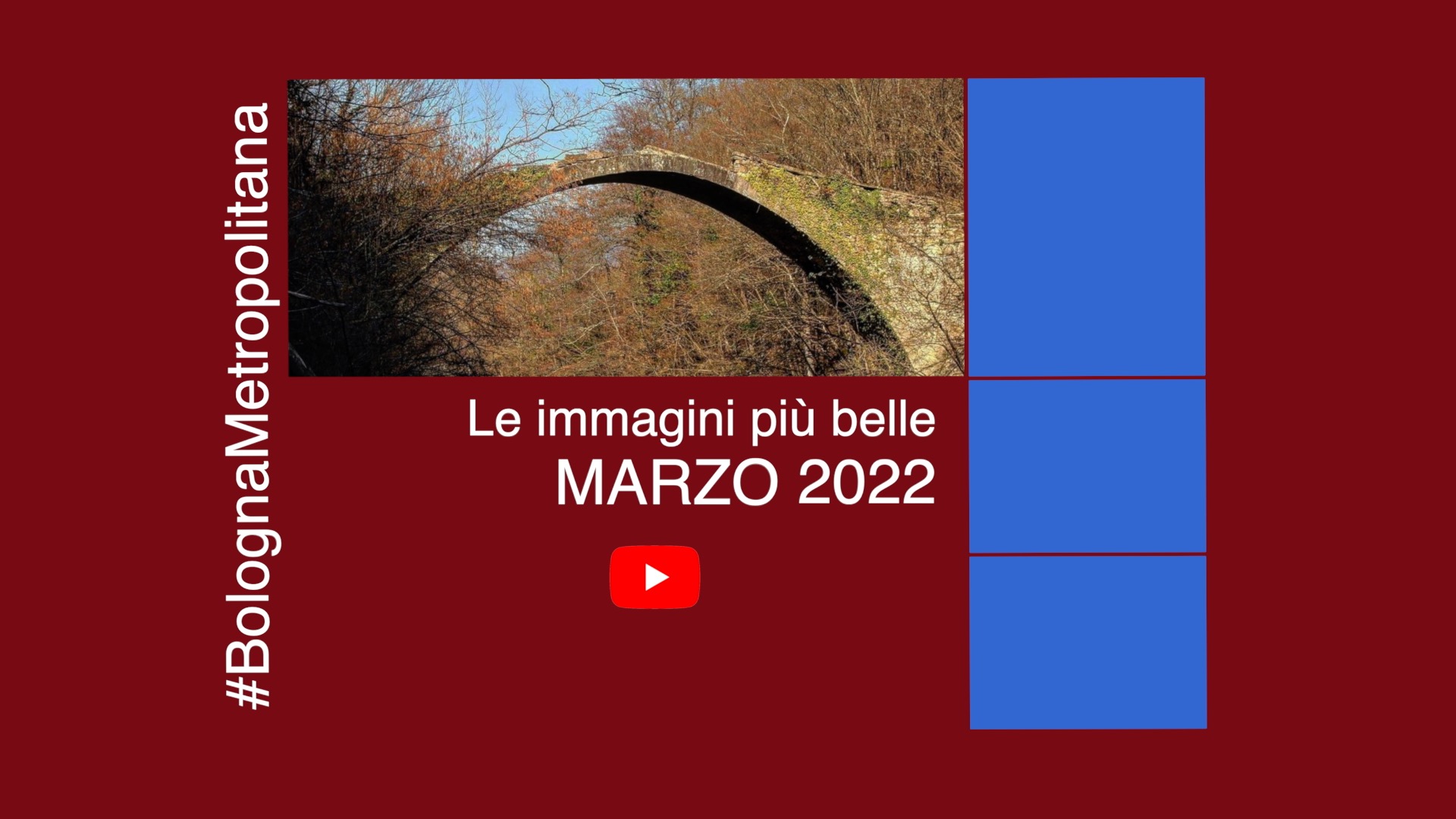 #BolognaMetropolitana - Le immagini più belle di marzo 2022