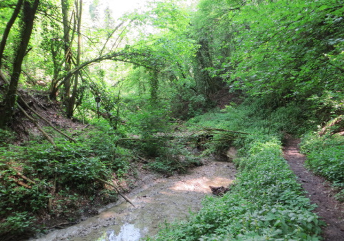 Il sentiero che porta a Rio Ramato