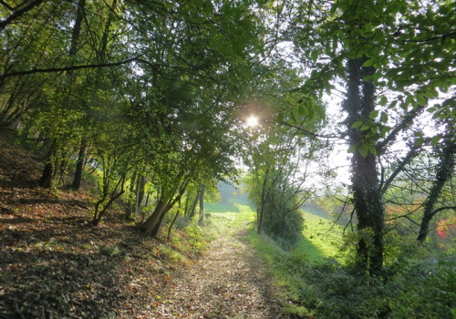 Il sentiero che porta alla Corte d'Aibo e alle pendici di Monte Morello