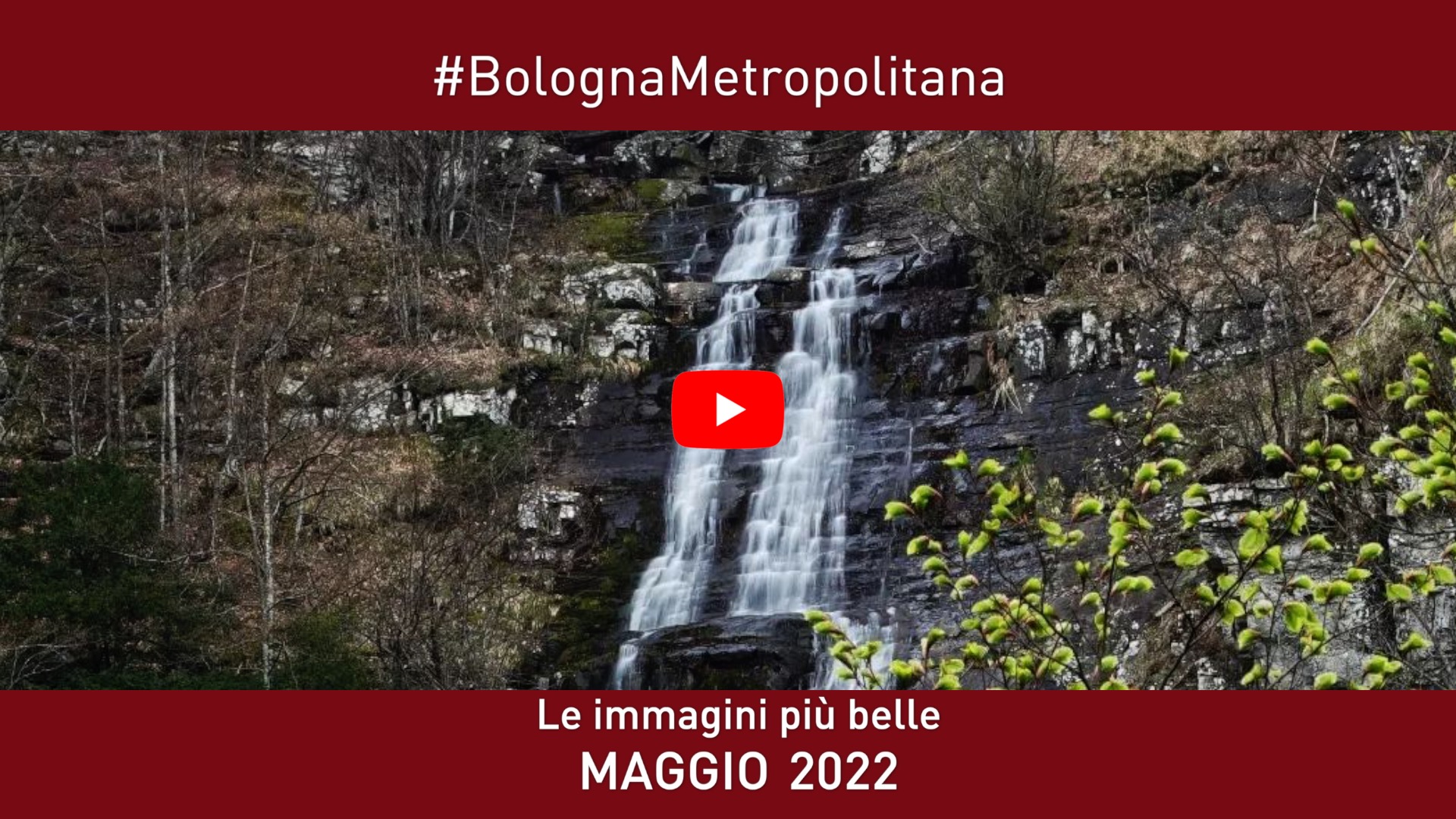 #BolognaMetropolitana - Le immagini più belle di maggio 2022