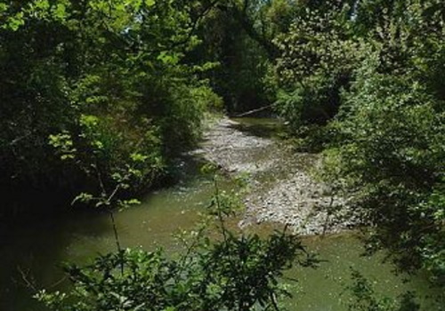 Oasi fluviale del Molino Grande (San Lazzaro di Savena)