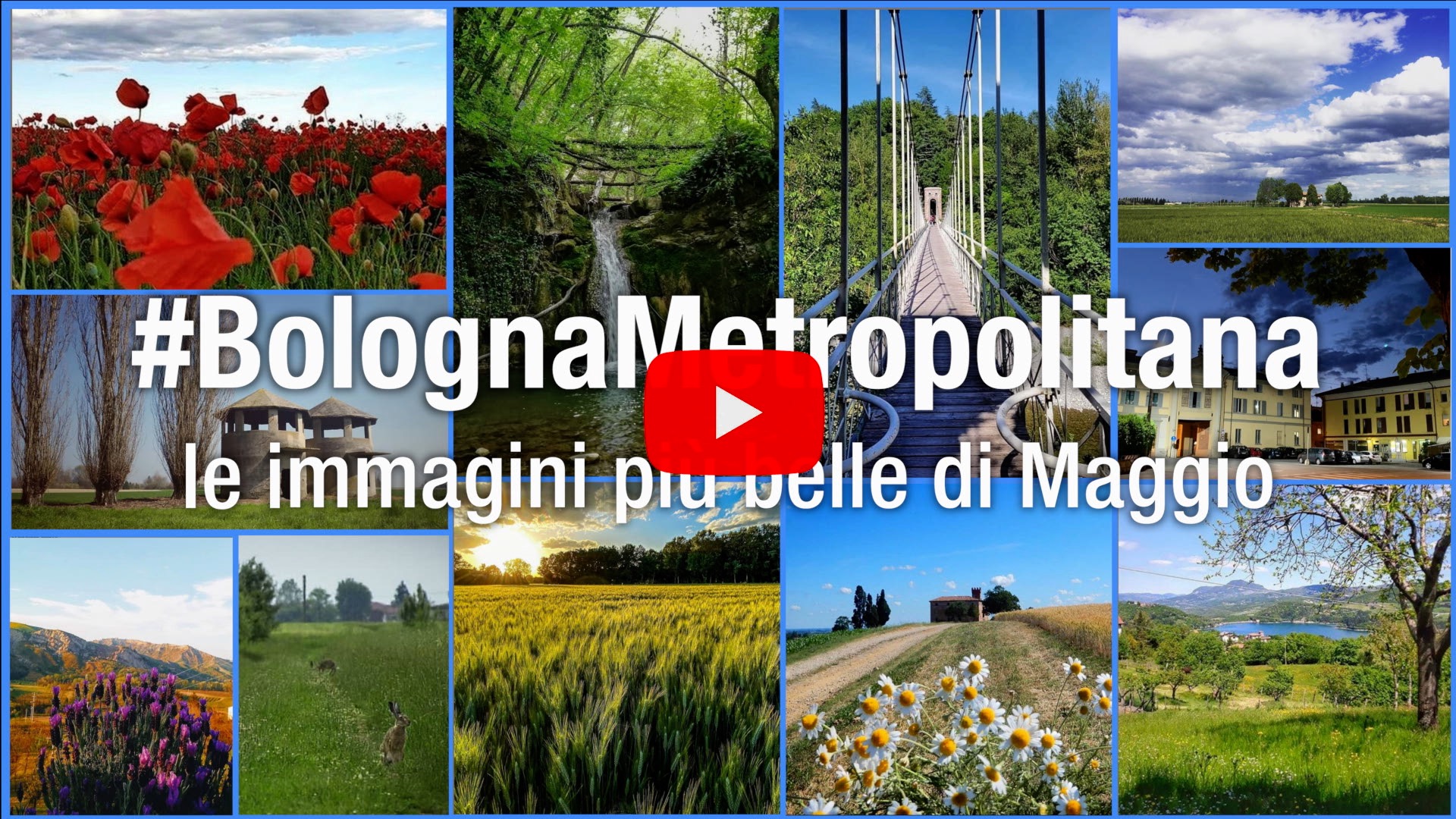 Portale Bolognametropolitana Le Immagini Piu Belle Di Maggio