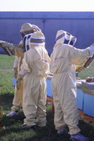 Detenuti apicoltori