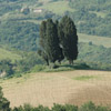 “Colline di San Luca”, nasce una nuova area protetta