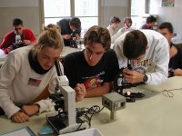 Studenti in laboratorio - Archivio Provincia di Bologna