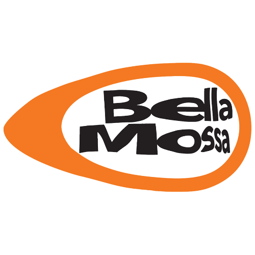 Mobilità Sostenibile, 10mila utenti e 900.000 spostamenti con "Bella Mossa"