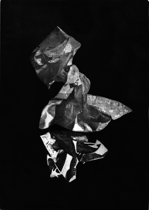 Alfonsina Sica, Cigno, 2022. Toner transfer, acquatinta su carta Fabriano Tiepolo, 50x60 cm