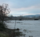 Il fiume Reno in piena