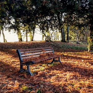 Nel parco di Villa Smeraldi