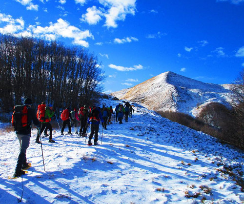 10/01/2017 - Escursione del Cai Bologna nel Parco Regionale Corno alle Scale e Valle dell'Orsinia. Foto di Alessandro Ori