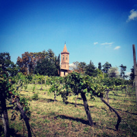 Passeggiata a Monte San Pietro