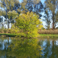 Autunno nelle campagne di Granarolo dell'Emilia