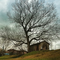 Castenaso. Vecchi spogliatoi dello Stadio Negrini