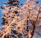 Neve al tramonto