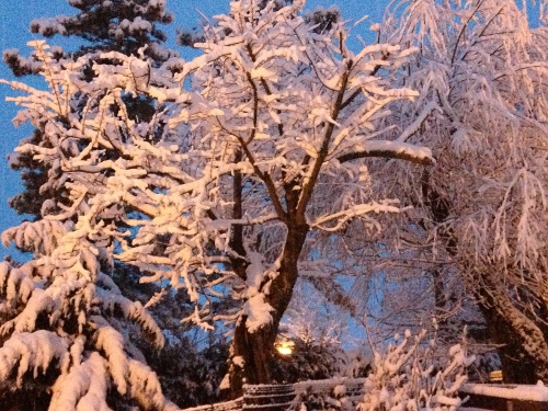 15/01/2013 - Nevicata a Lizzano in Belvedere. Foto di Daniela Patelli