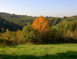 Veduta autunnale al Parco dei Gessi