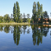 Laghetto a Castel San Pietro Terme