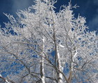 Neve e galaverna a Monte Acuto