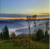 Colline di Monte San Pietro