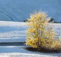 Prima neve a Monghidoro