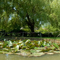 Orto botanico Ulisse Aldrovandi a San Giovanni in Persiceto