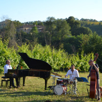 Concerto tra i filari a Zola Predosa