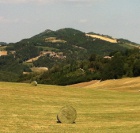 La campagna di Loiano