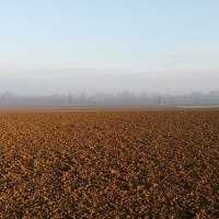 Campagna a Villanova di Castenaso