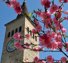 Primavera a Ponzano